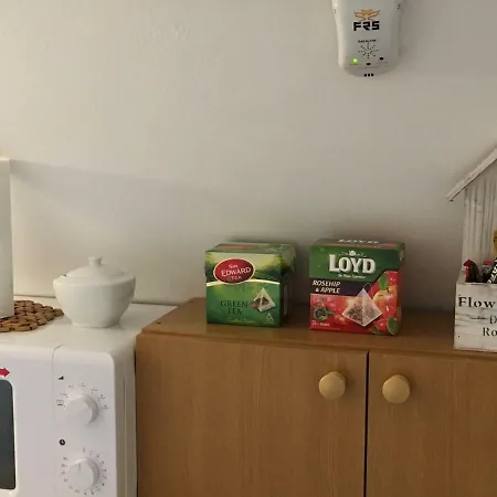 Vog Apartment Constanta